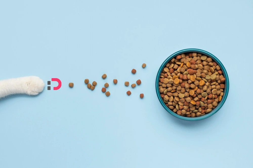 راهنمای جامع خرید غذای خشک گربه بر اساس نژاد و سن | پت‌شاپ آنلاین پتدونی 1404